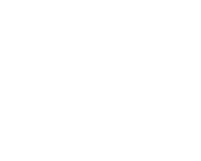 Top SEO Experts in St. Petersburg