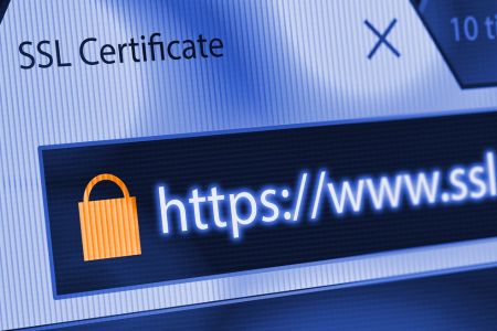 Web browser with SSL certificate in the URL address bar.